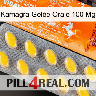 Kamagra Gelée Orale 100 Mg new05